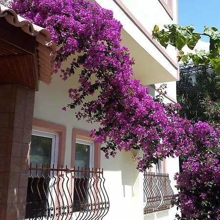 Seda Lejlighedshotel